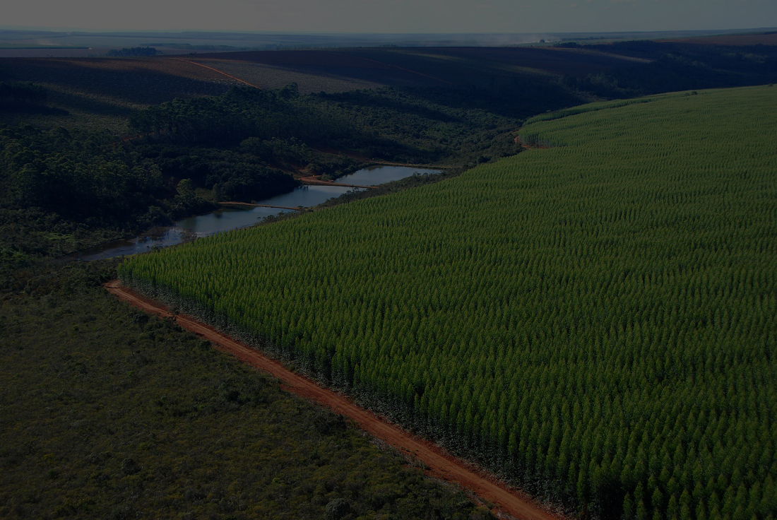 Área florestal e ambiental na Região Norte