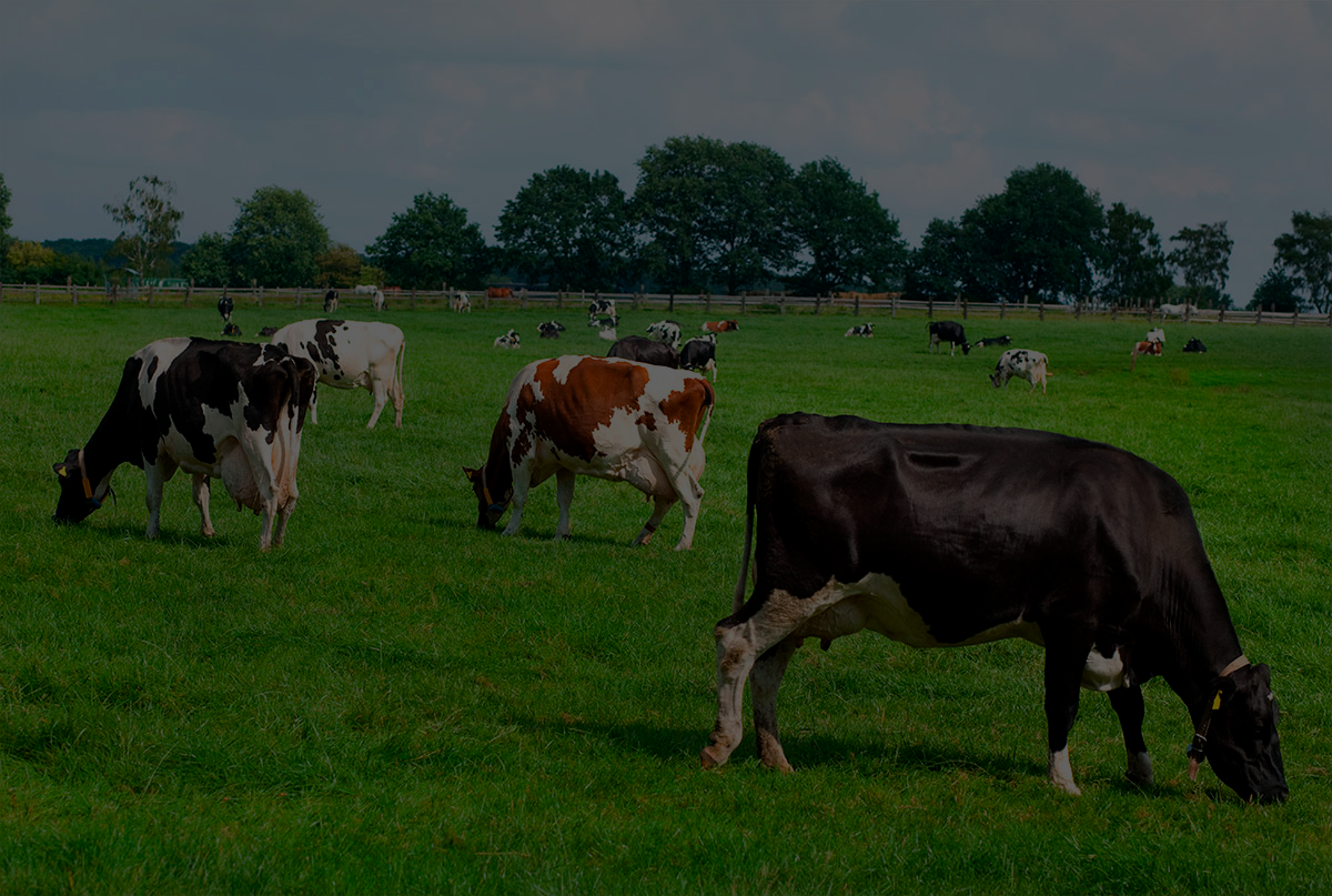 Propriedade rural para negócios imobiliários